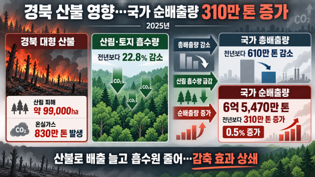 2025년 경북 산불로 온실가스 순 배출량 증가