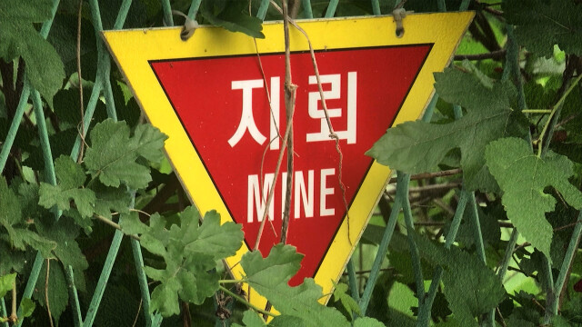 지뢰 폭발 연휴 이후 조사? 야권 반발 이어져…한동훈 1인 시위까지