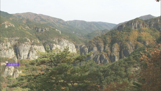 경북 김천 금오산서 60대 남성 등산객 숨져