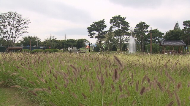 추석 연휴 마지막 날, 대체로 흐림… 경북 남부·동해안에는 소나기