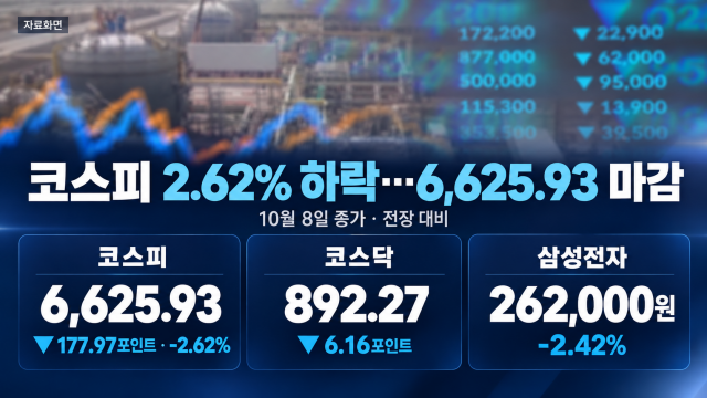 [속보] 삼성전자 영업이익 신기록에도 웃지 못한 코스피···6,625선에 마무리