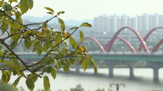 "아침엔 쌀쌀, 낮엔 포근"…한글날 대구·경북 최대 19도 일교차 극심