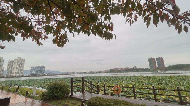 한글날 낮 기온 28도 안팎까지 올라···토·일요일 비 예상