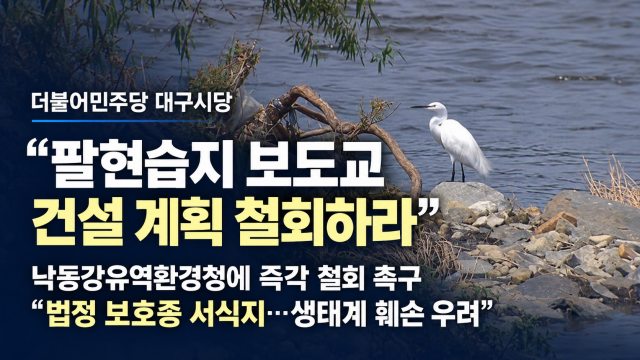 민주당 대구시당 "팔현습지 보도교 건설 철회해야··자연 지키는 것이 환경 행정의 존재 이유"