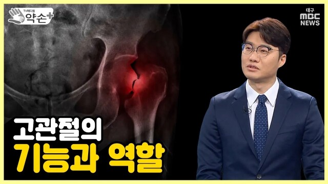 [약손+] 우리 몸 ‘주춧돌’ 고관절을 지켜라! ①고관절의 기능과 역할 