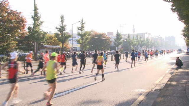 '경주국제마라톤대회' 달리던 20대 여성 쓰려져···참가자 5명 응급처치