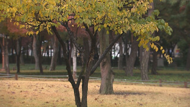 대구·경북, '요란했던 가을비' 그치고 선선한 가을 속으로···출근길 안개·강풍 유의