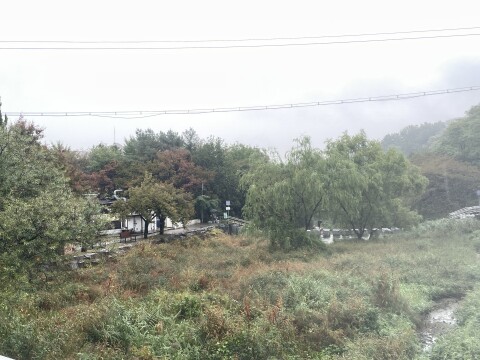 대구·경북 대체로 흐리고 비... 이틀간 최고 60mm
