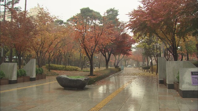 독도의 날, 경북 동해안과 북동 산지에는 월요일 새벽까지 '비'
