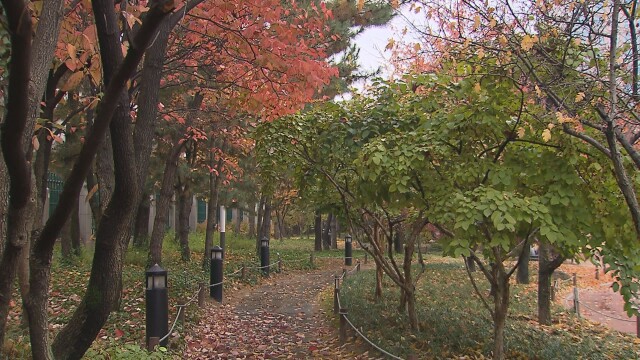 대구·경북 밤부터 기온 떨어져···수요일 아침 대구 2도