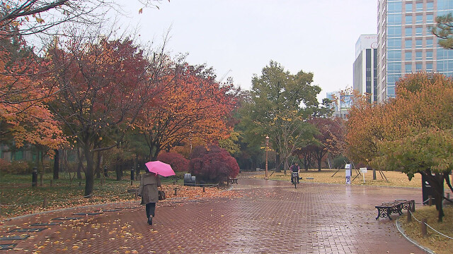 목요일 낮 대구 14도···금요일은 기온 올라