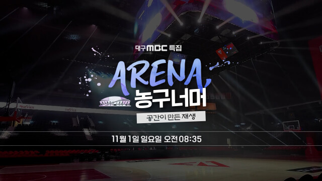 대구MBC 특집 'ARENA, 농구 너머'···시사온 '복합 돔구장 건립 사업'