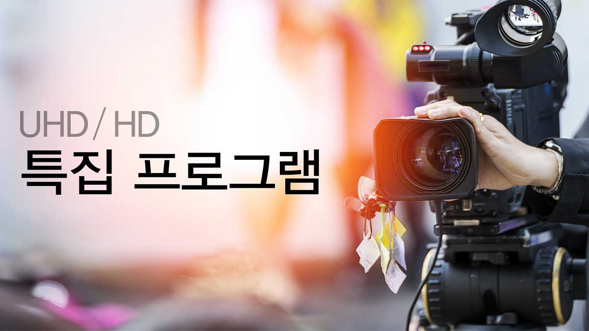 UHD / HD 특집 프로그램