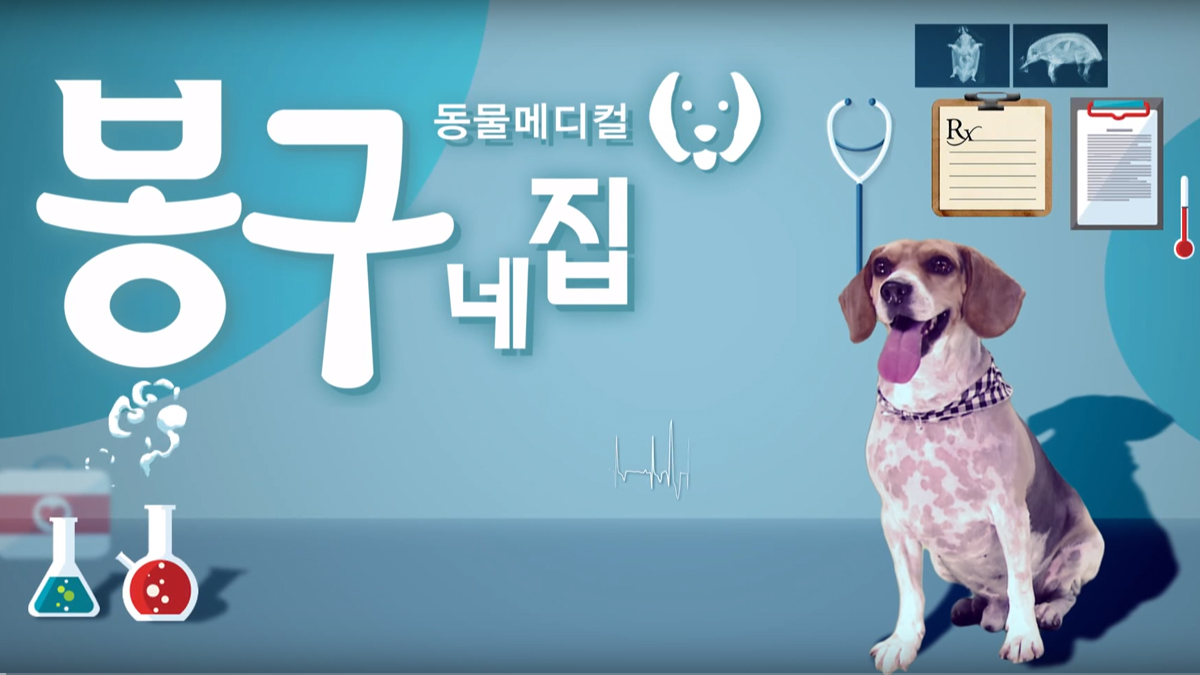 동물메디컬 봉구네 집